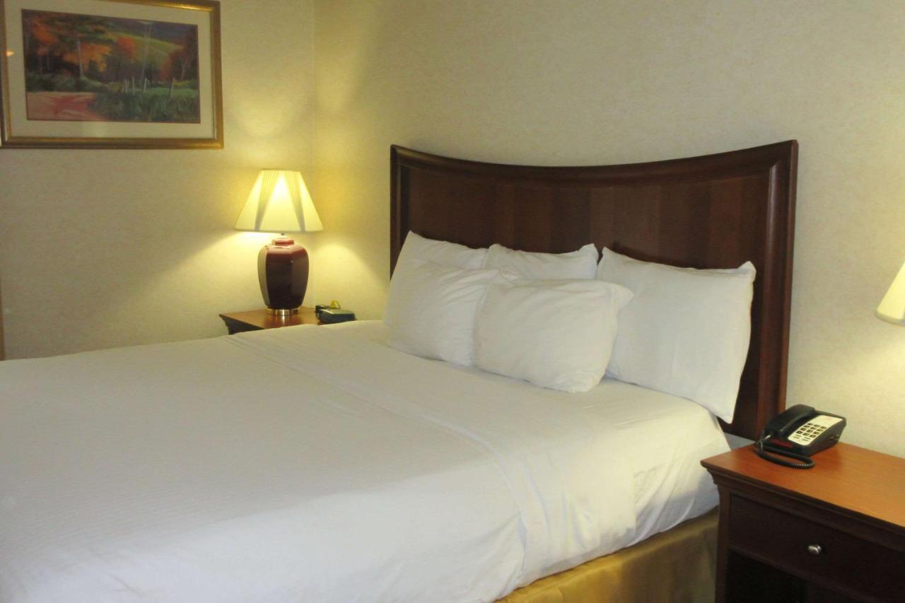 Quality Inn & Suites Owego Dış mekan fotoğraf